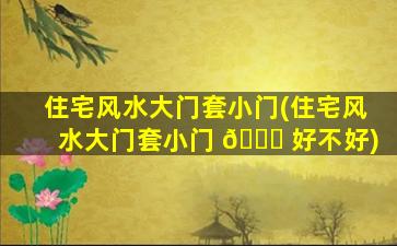 住宅风水大门套小门(住宅风水大门套小门 🐈 好不好)